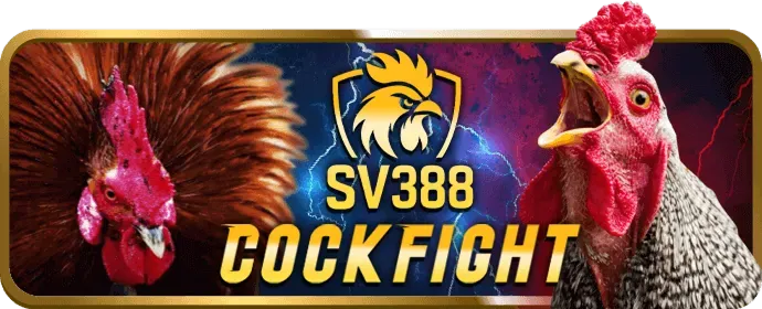 Máy đánh bạc fcb8 casino